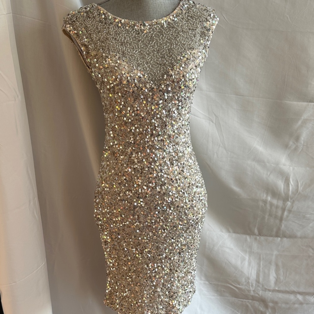 Elegant Parker Silk Sequin Dress